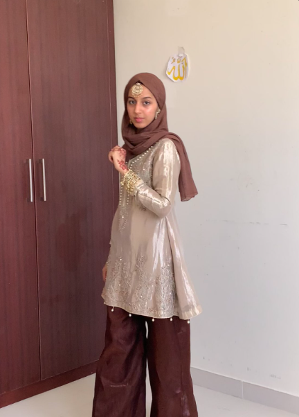 Bushra approved portfolio visual